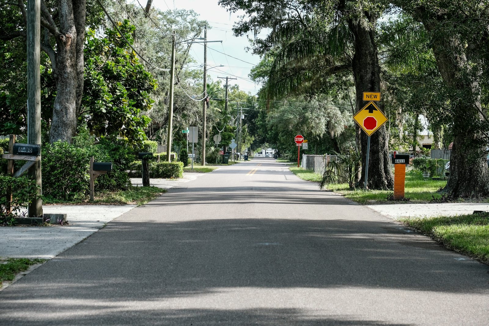 Quiet residential street with mailboxes in the Glen Allen area
