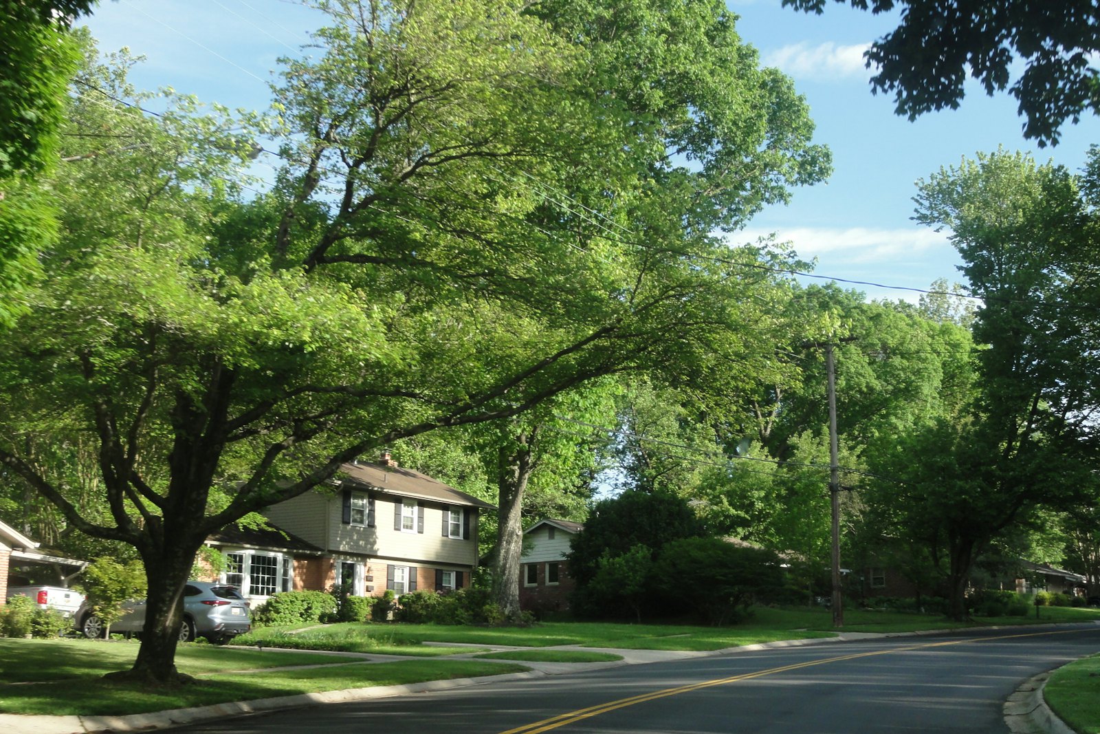 Tree-lined residential street in the Midlothian area
